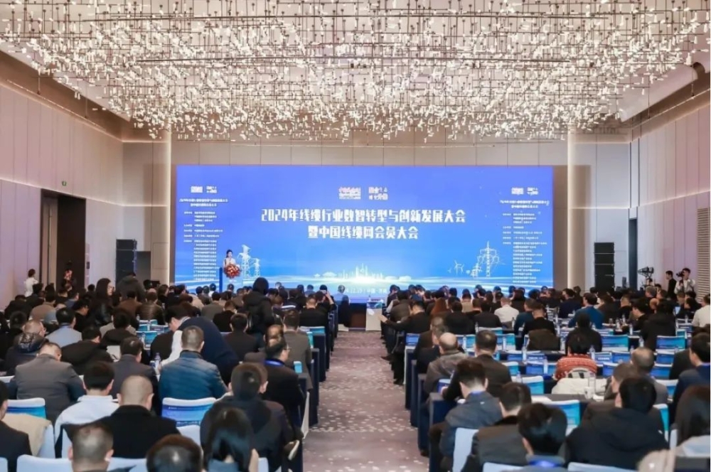 公海彩船6600股份荣获“2024年度中国线缆行业领军品牌企业”