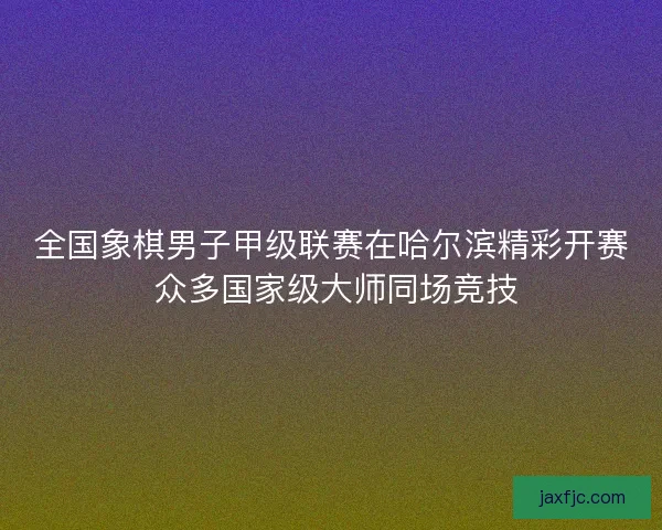 全国象棋男子甲级联赛在哈尔滨精彩开赛 众多国家级大师同场竞技